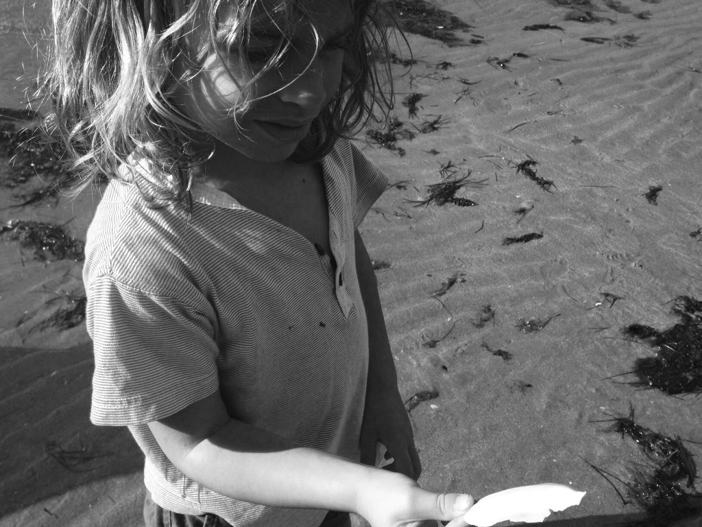 IMG_6105