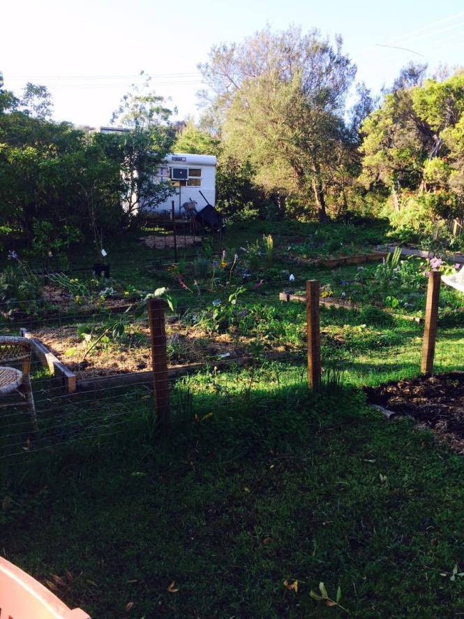 13262368_10205146887626767_382433898_o