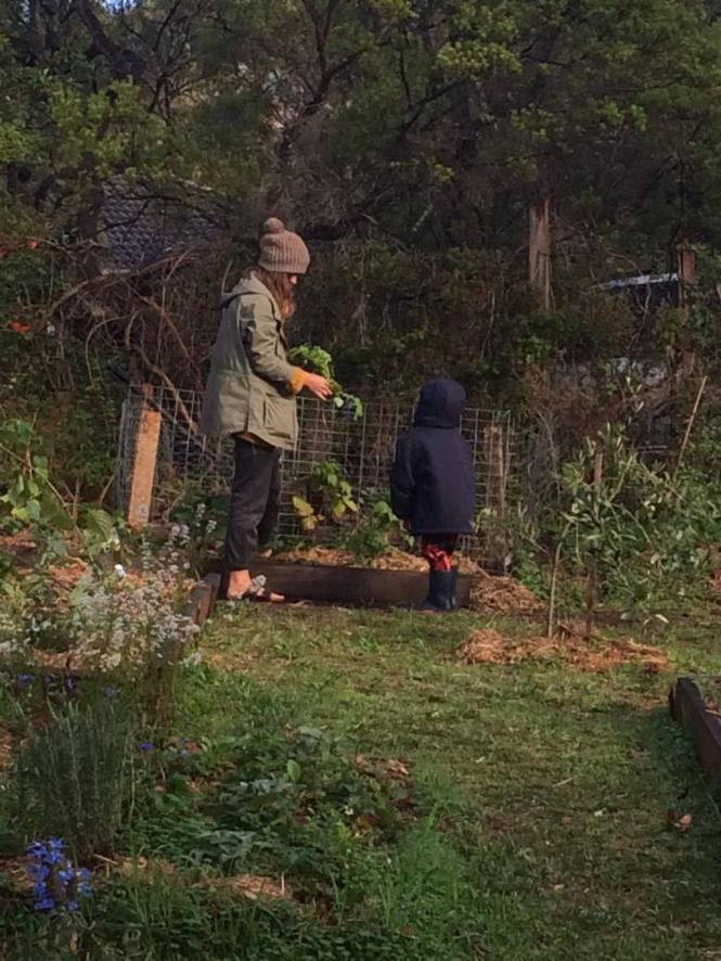 13262613_10205146890946850_472906402_o